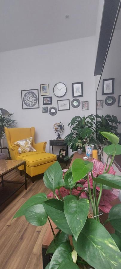 Apartamentos Los Descalzos Free Parking Ронда Экстерьер фото